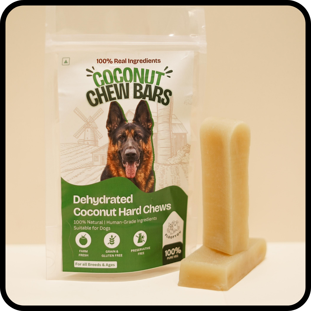 Vegetarian Treats & Chews for Dogs