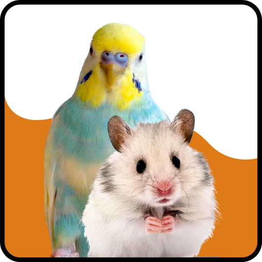 For Hamsters and Birds