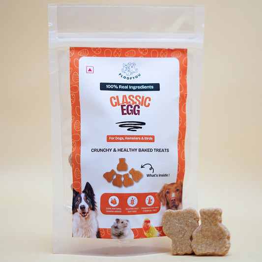 Egg Natural Healthy Hamster & Bird Treat, Cookies, Biscuits & Snacks