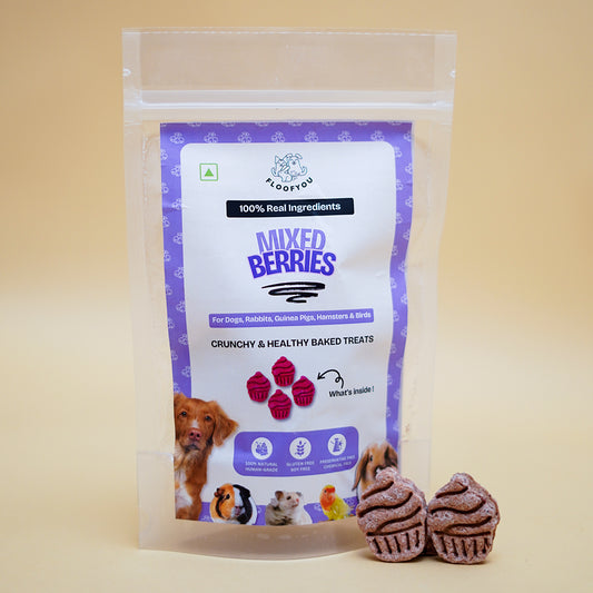 Mixed Berries Pure Veg Natural Healthy Dog Treat, Cookies, Biscuits & Snacks