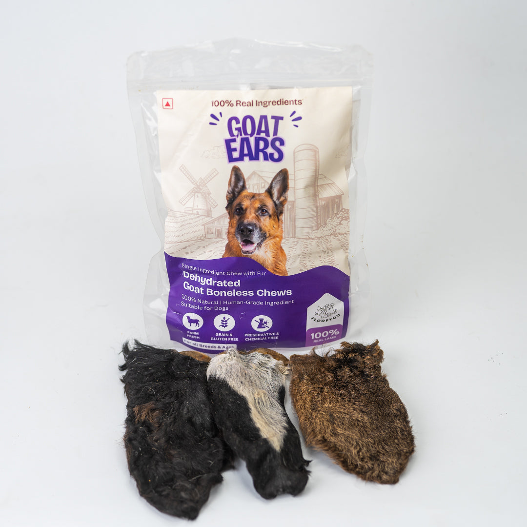 Goat Ears Chew Dehydrated Natural Healthy Dog Treat