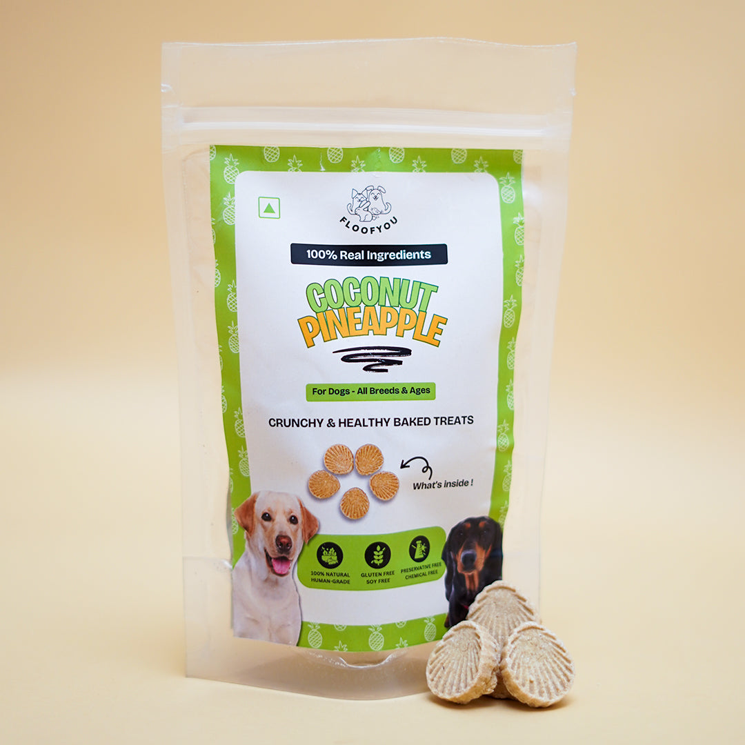 Coconut Pineapple Pure Veg Natural Healthy Dog Treat