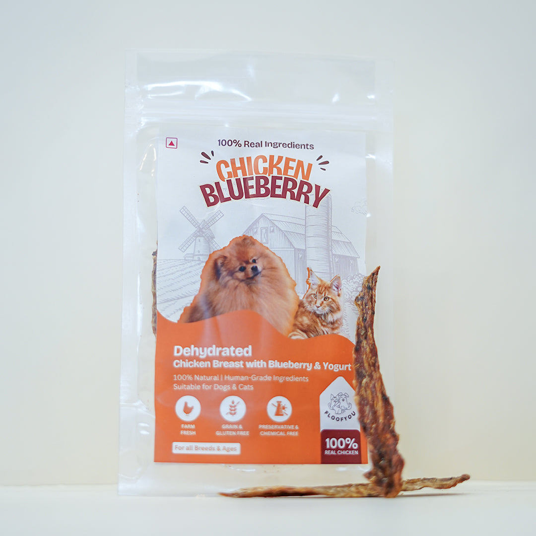 Chicken Blueberry Yogurt Jerky Strips Dehydrated Natural Healthy Cat Treat