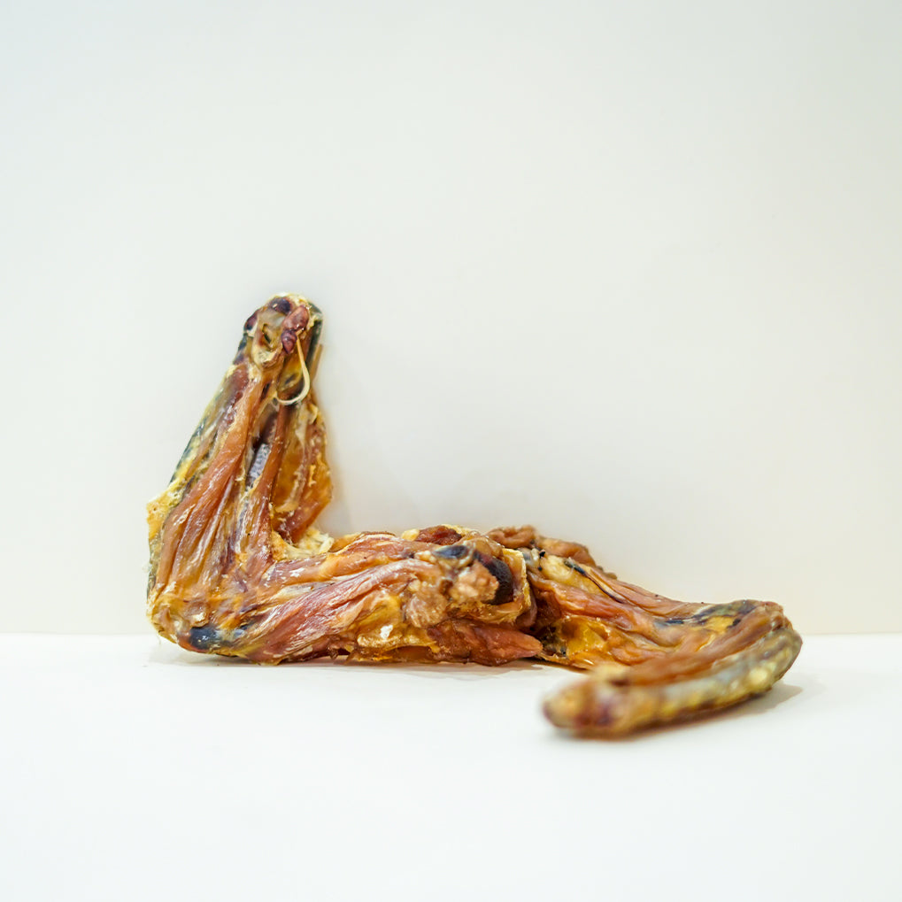 Chicken Wing Chew Dehydrated Natural Healthy Dog Treat