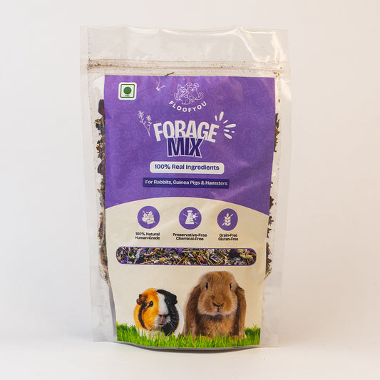 Forage Mix Pure Veg Natural Healthy Enrichment Treat for Rabbits, Guinea Pigs, Hamsters & Small Animals