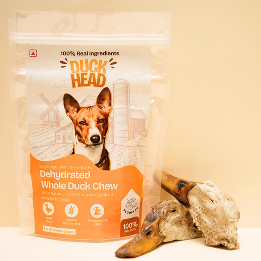 FloofYou Duck Head Whole Chew Jerky Dehydrated Natural Healthy Dog Treats Chew Snacks
