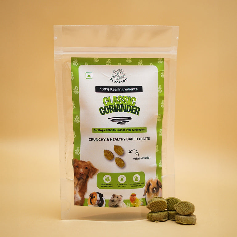 Coriander Pure Veg Natural Healthy Treat, Cookies, Biscuits & Snacks for Rabbits, Guinea Pigs, Hamsters, Birds & Small Animals