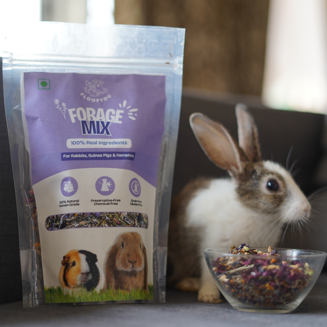 Forage Mix Pure Veg Natural Healthy Enrichment Treat for Rabbits, Guinea Pigs, Hamsters & Small Animals