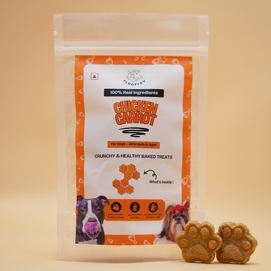 FloofYou Chicken Carrot Natural Healthy Dog Treat