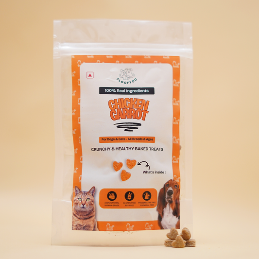 FloofYou Chicken Carrot Natural Healthy Cat & Dog Treat