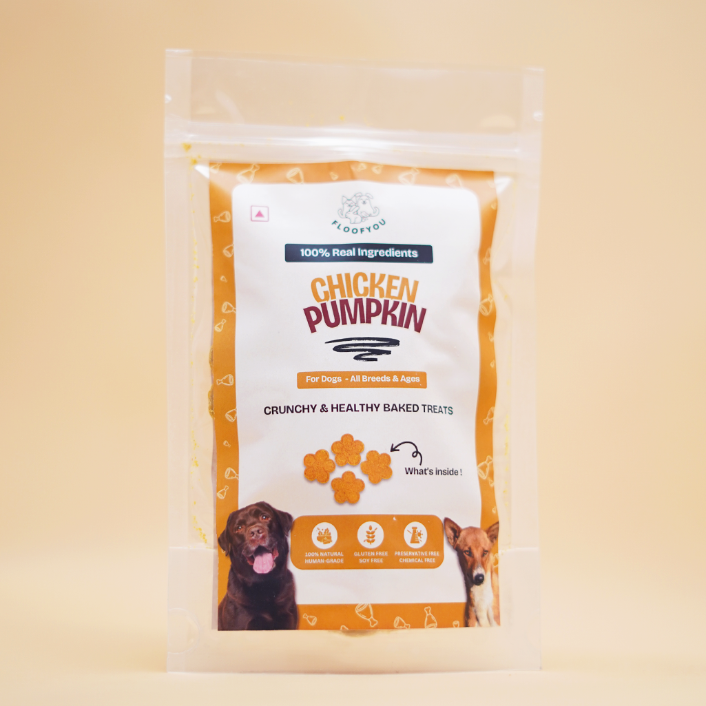 Chicken Pumpkin Natural Healthy Dog Treat