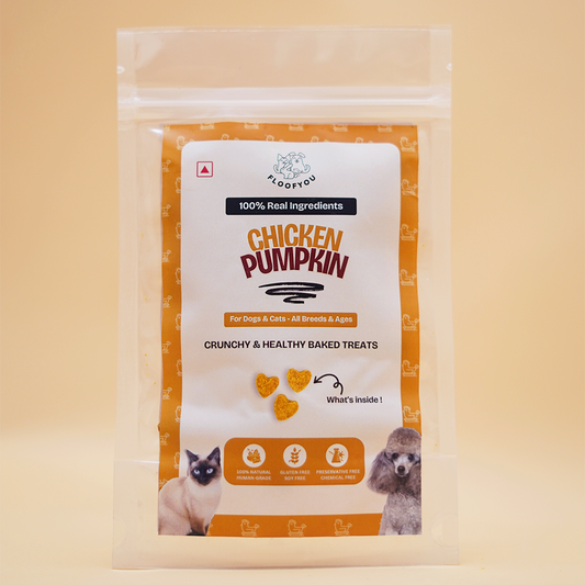 FloofYou Chicken Pumpkin Natural Healthy Cat & Dog Treat