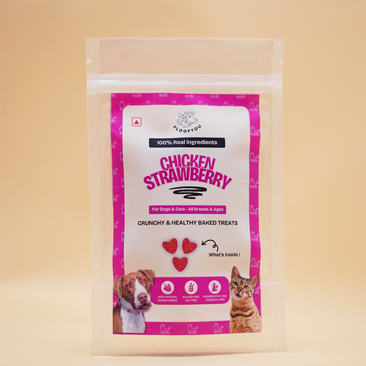 FloofYou Chicken Strawberry Natural Healthy Cat & Dog Treat