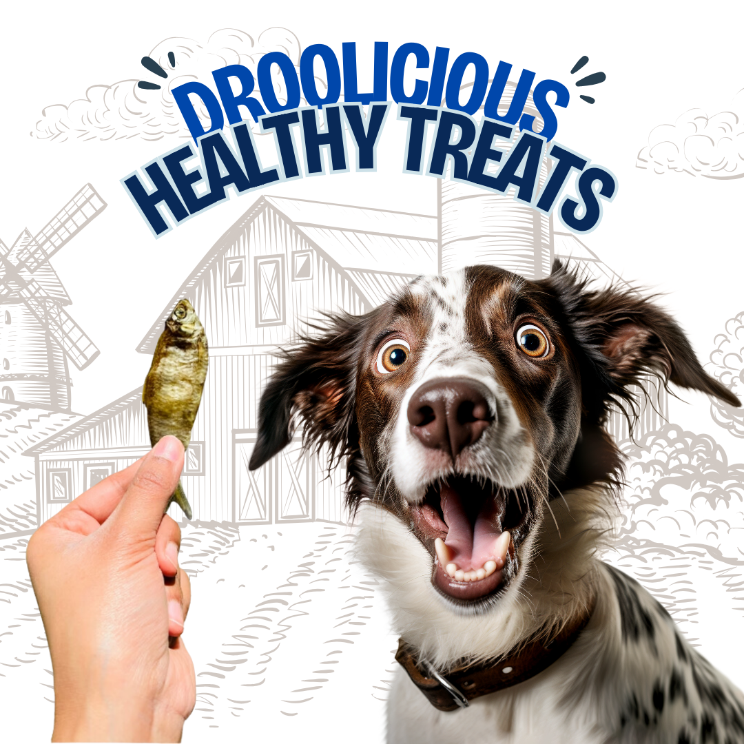 Anchovies Fish Whole Dehydrated Jerky Natural Healthy Dog & Cat Treat