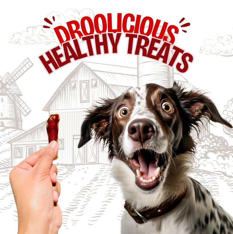 FloofYou Buffalo Tendon Jerky Strips Dehydrated Natural Healthy Dog & Cat Treat Chew