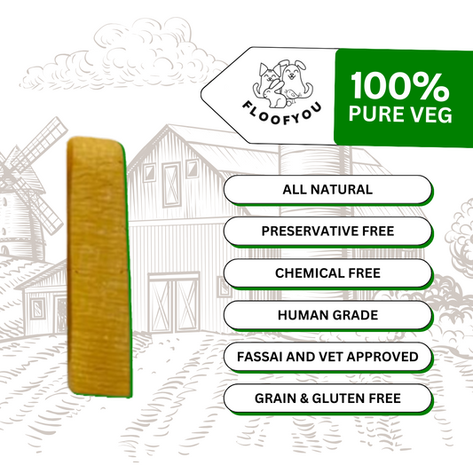 FloofYou Coconut Hard Chew Bars Natural Healthy Dog Treat & Chew