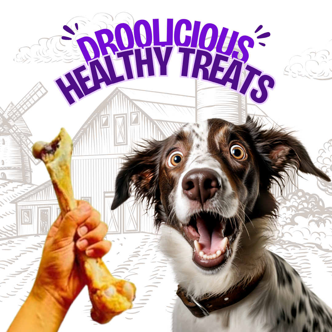 FloofYou Goat Bone Long Chew Dehydrated Natural Healthy Dog Treat