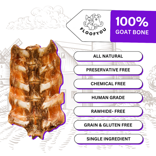 FloofYou Goat Loin Bone Dehydrated Natural Healthy Dog Treat and Chew