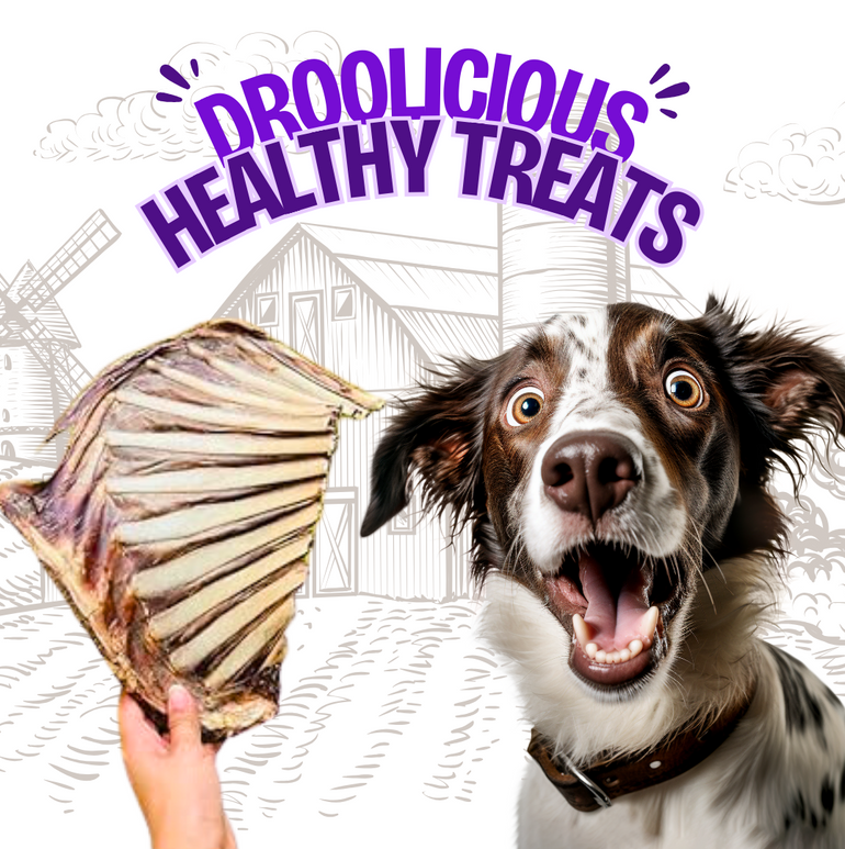 FloofYou Goat Ribs Half Rack Dehydrated Bone Natural Healthy Dog Treat & Chew