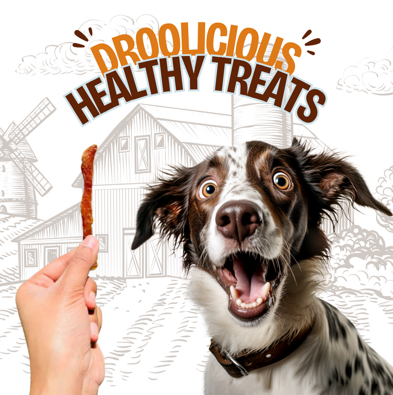Dehydrated Chewy Chicken Tenders Jerky Strips for Young & Seniors Natural Healthy Dog & Cat Treat