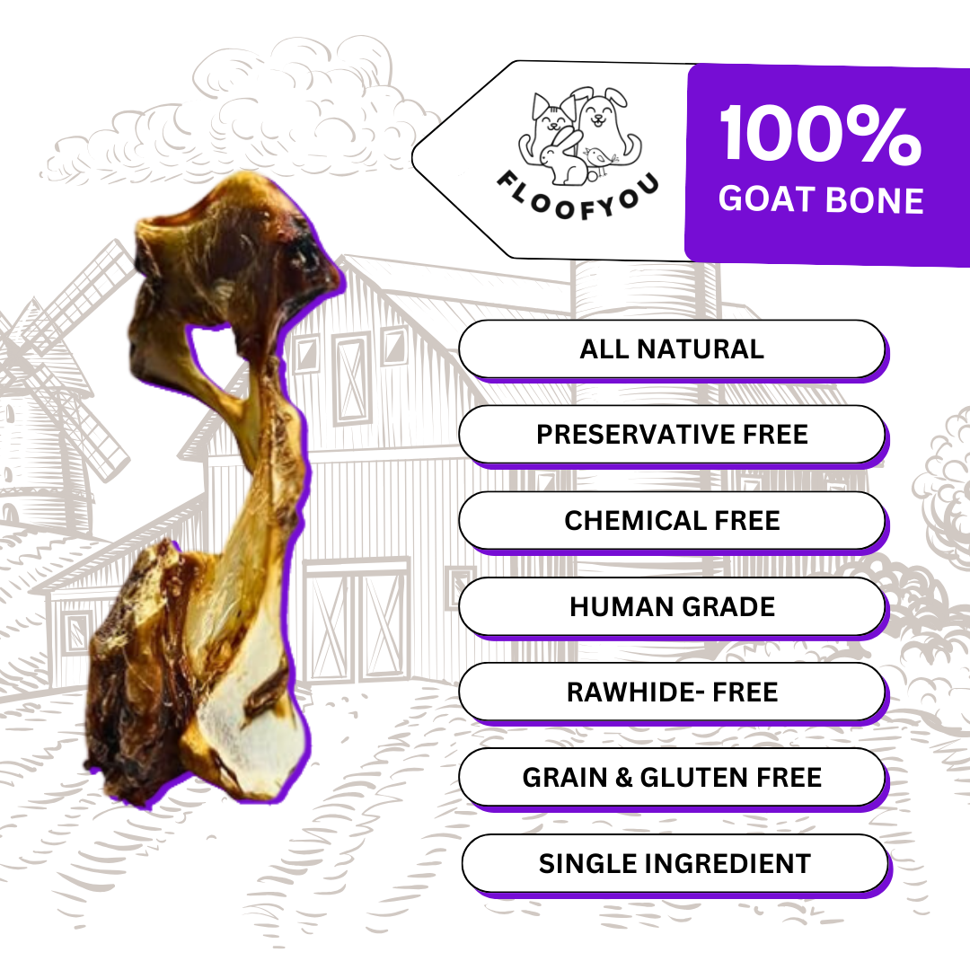 Goat Hip Bone Dehydrated Natural Healthy Dog Treat & Chew