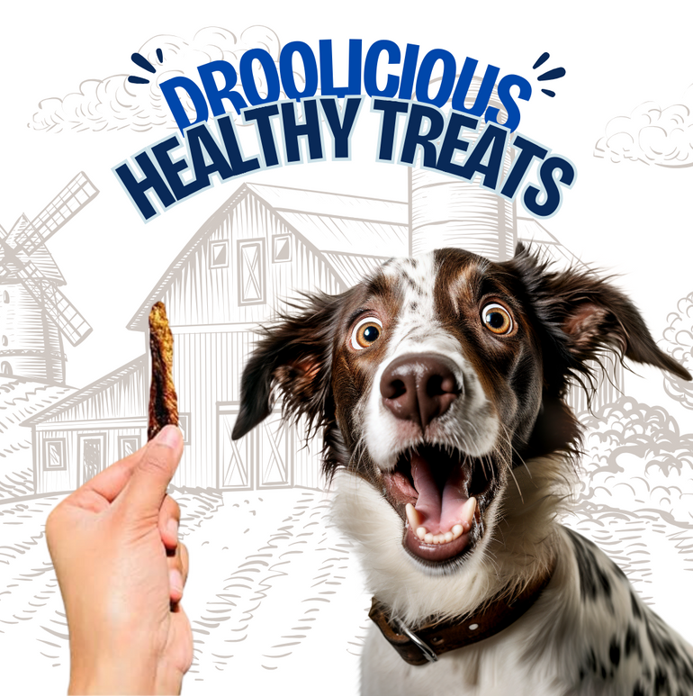 FloofYou Tuna Fillet Boneless Jerky Strips Dehydrated Natural Healthy Dog & Cat Treat