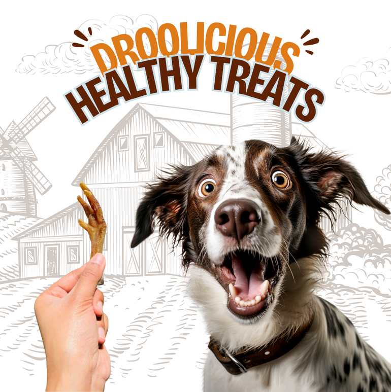Dehydrated Chicken Feet Chew Natural Healthy Dog Treat