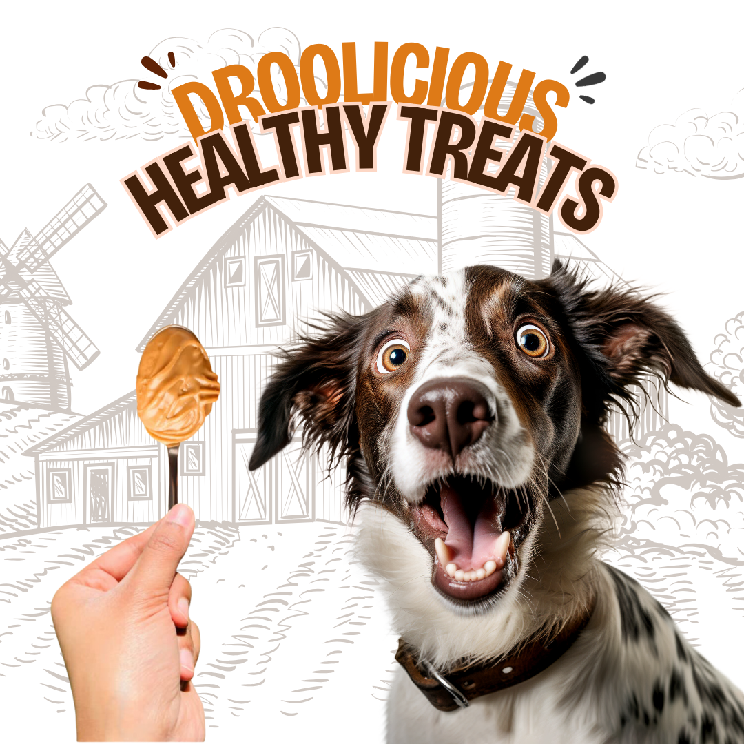 Peanut Butter Natural Healthy Dog Treat