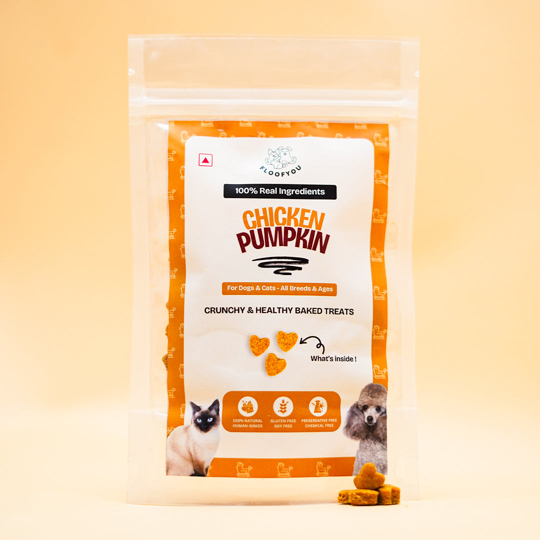 Chicken Pumpkin Natural Healthy Cat Treat, Biscuits & Cookies