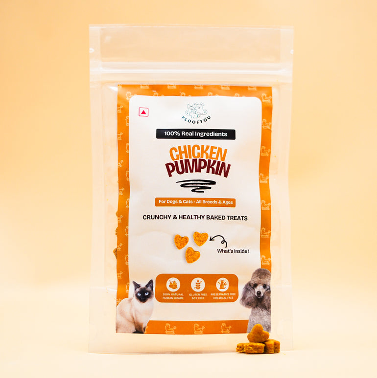 Chicken Pumpkin Small Natural Healthy Dog Treat for Training