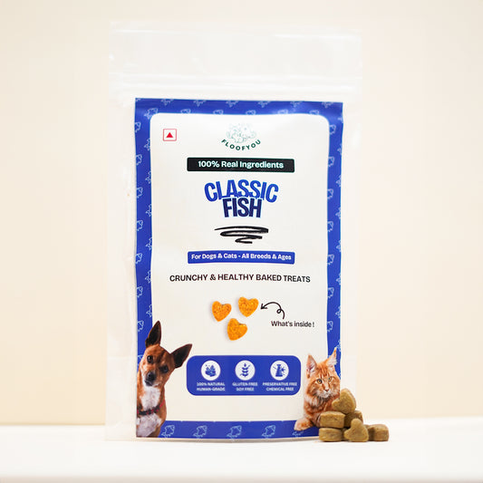 Fish Natural Healthy Cat Treat, Biscuits & Cookies