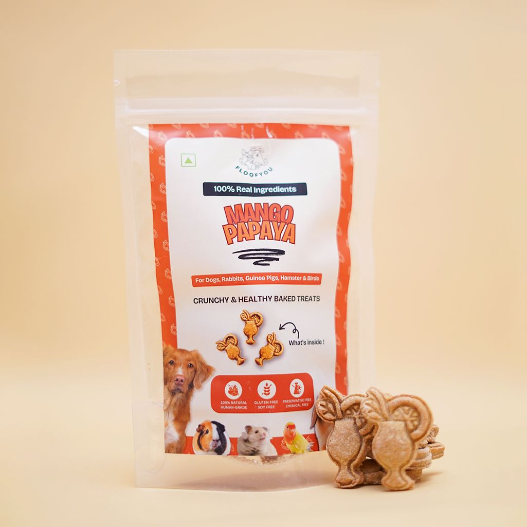 Mango Papaya Pure Veg Natural Healthy Dog Treat, Cookies, Biscuits & Snacks