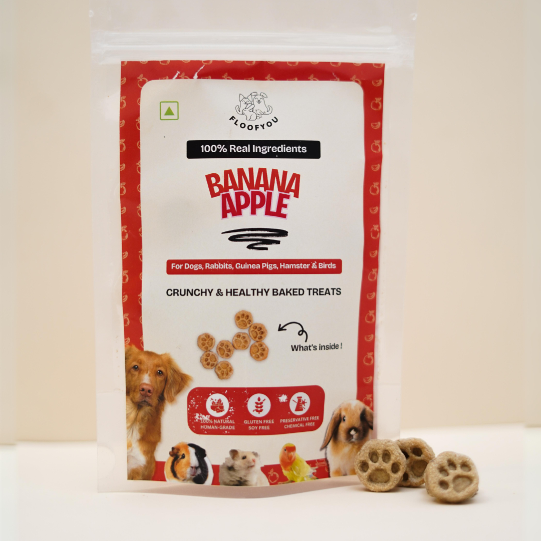 Banana-Apple Bite-sized Pure Veg Natural Healthy Treat for Rabbits, Guinea-Pigs, Hamsters, Birds & Small Animals