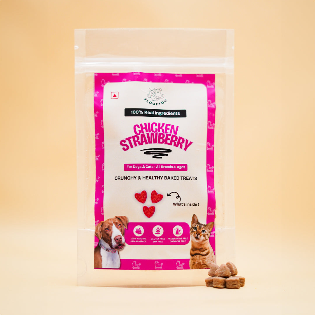 Chicken Strawberry Natural Healthy Cat Treat, Biscuits & Cookies