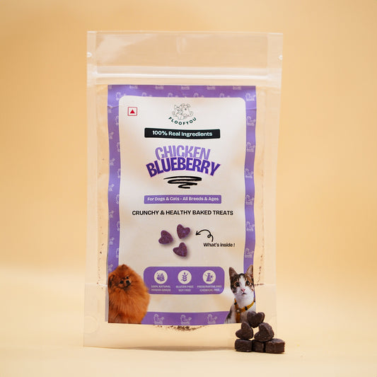 Chicken Blueberry Natural Healthy Cat Treat, Biscuits, Cookies & Snacks