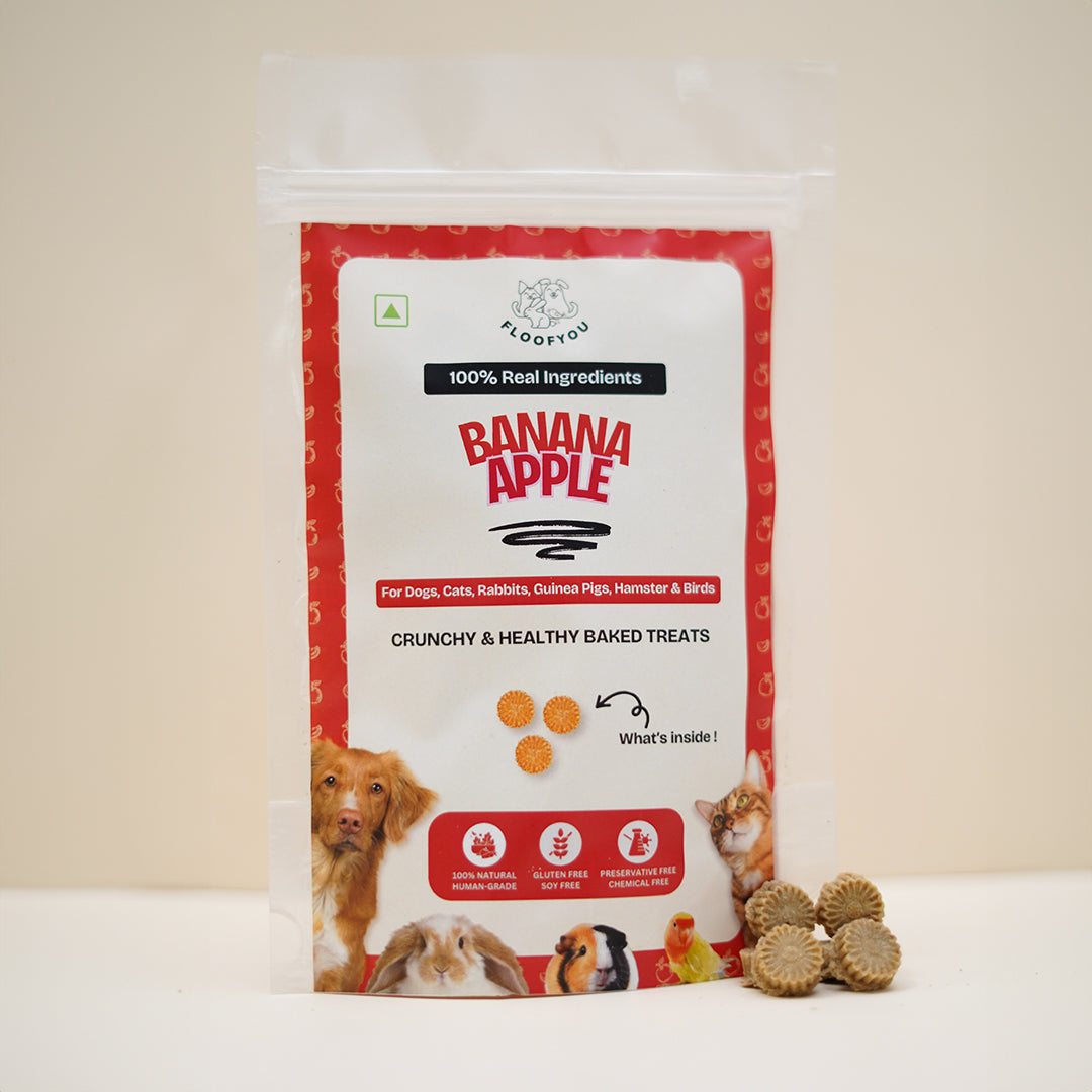 Banana Apple Pure Veg Natural Healthy Small bite-sized Treat for Rabbits, Guinea Pigs, Hamsters, Birds & Small Animals